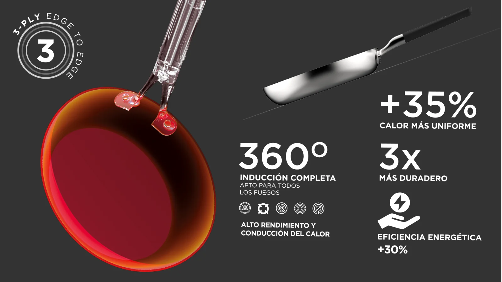 caracteristicas_maestro